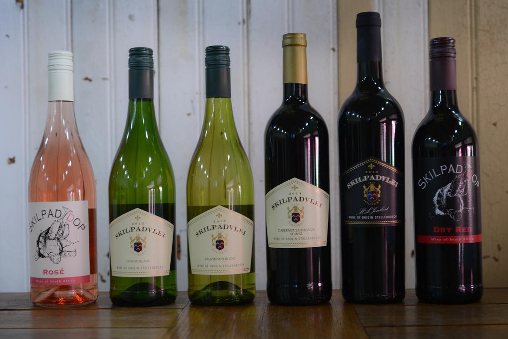 Skilpadvlei Wine Farm สเตลเลนบอช ภายนอก รูปภาพ