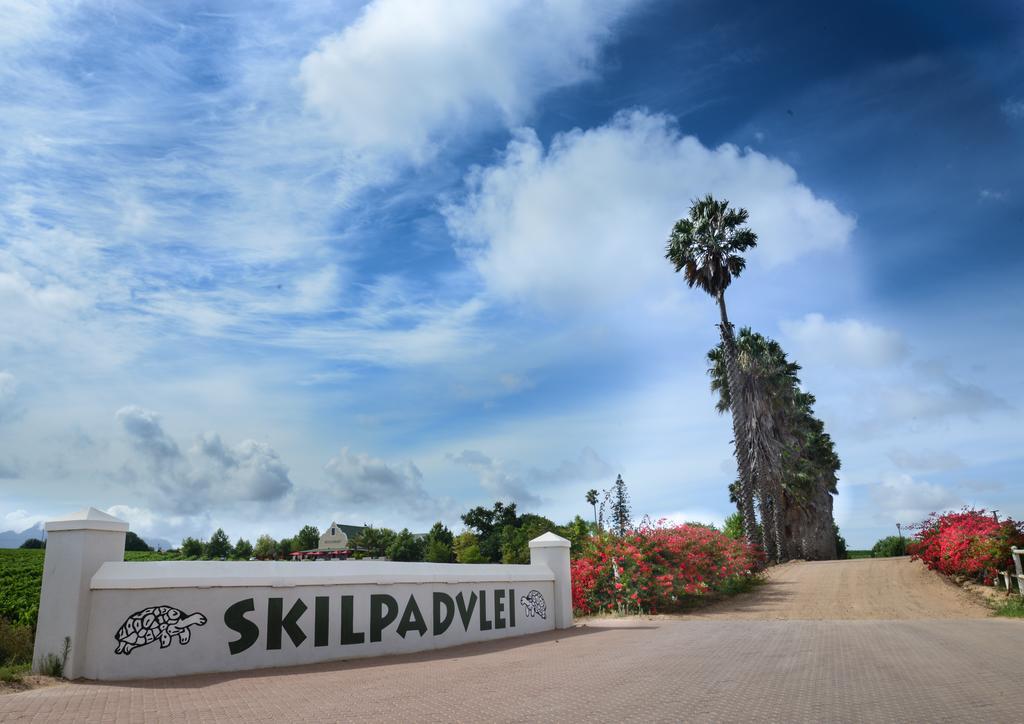 Skilpadvlei Wine Farm สเตลเลนบอช ภายนอก รูปภาพ